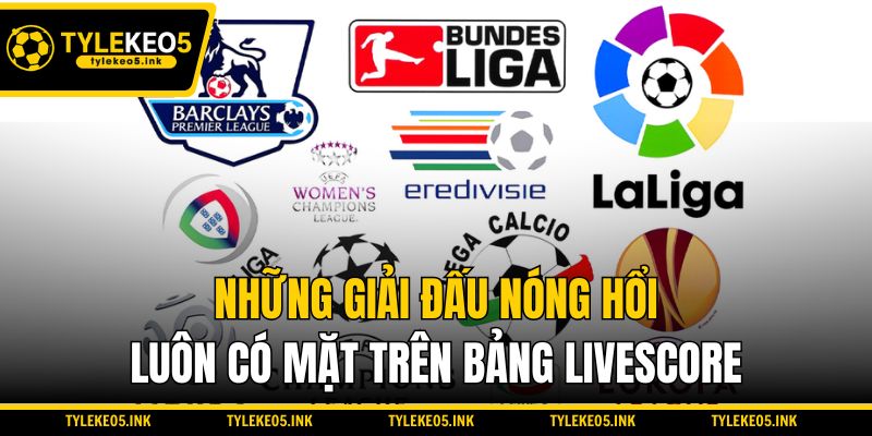 Những giải đấu nóng hổi luôn có mặt trên bảng Livescore
